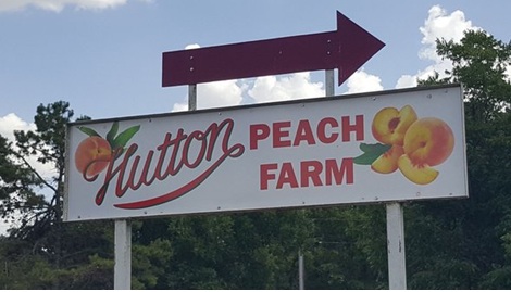 HuttonPeaches